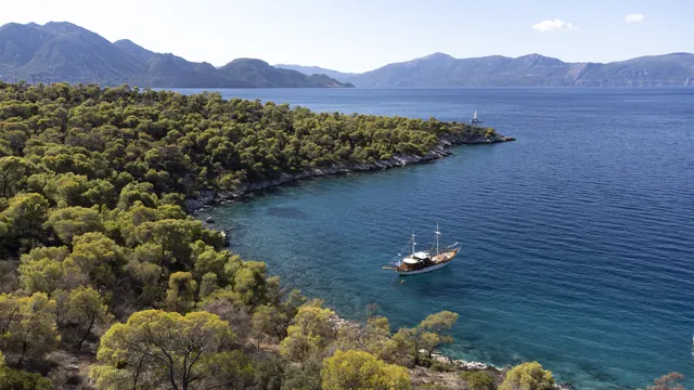 AXION ESTI anchored beside a wooded coastline